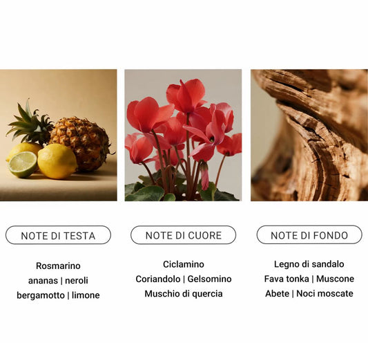 Perfume For Men Arabic Charming Fragrance Oud Badal Wood Long-lasting Perfume 50ml Amethyst Agarwood Glory Ebony Sublime Ebony